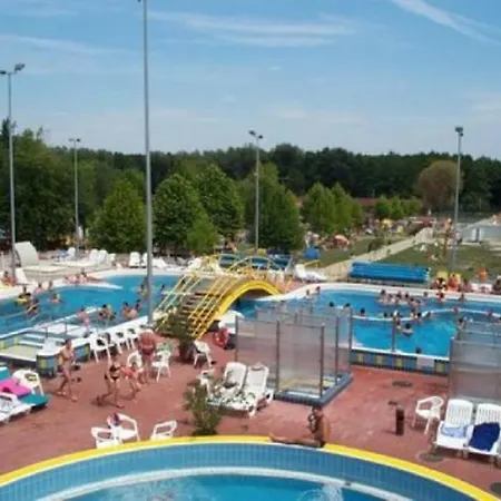 Apartament Pine Wood 8