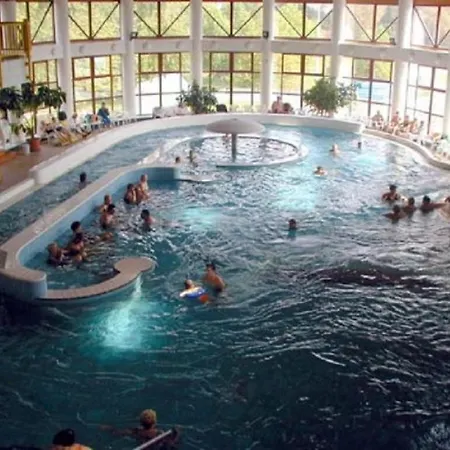 Apartament Pine Wood 8