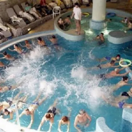 Pine Wood 8 * Zalakaros