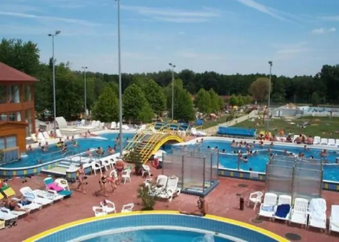 דירה Pine Wood 8