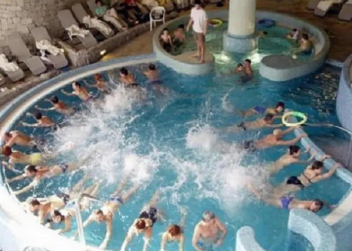 Pine Wood 8 * זלקרוס